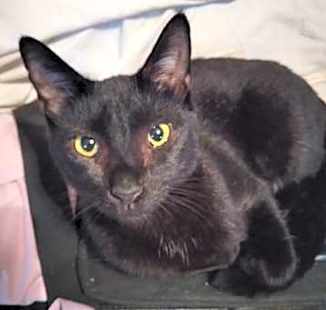 Photo of Percy