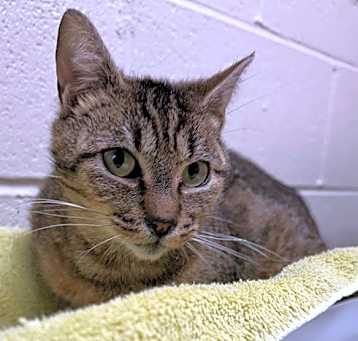 Photo of Missy (finder)