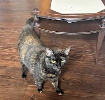 Photo of Precious