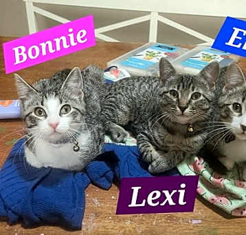 Photo of Lexi