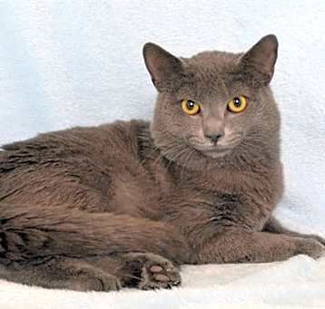 Photo of MOONPIE