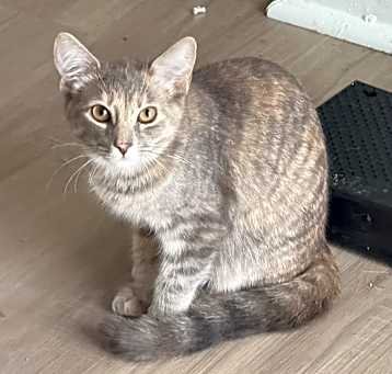 Photo of Baby