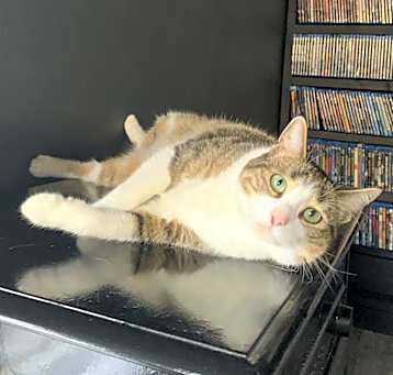 Photo of Ripley