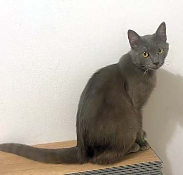 Photo of Lil Smokey