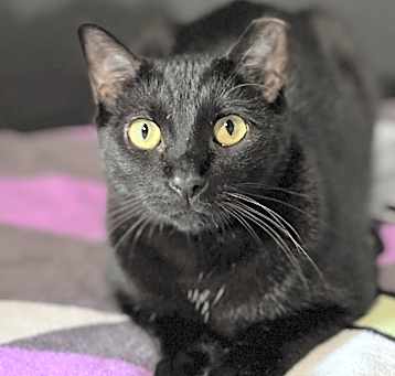 Photo of Severus