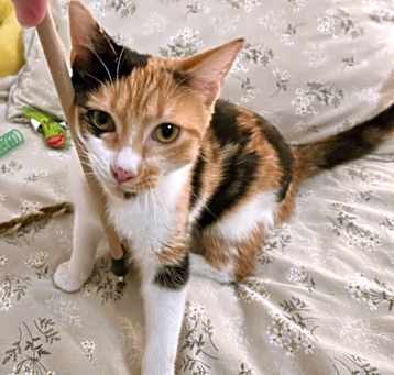 Photo of Clara