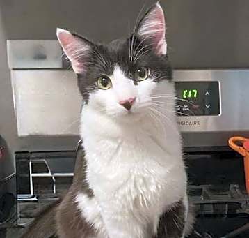 Photo of George