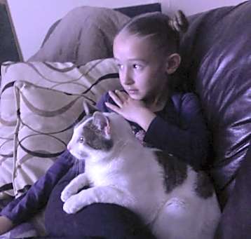 Photo of Meeko