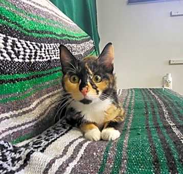 Photo of Bug