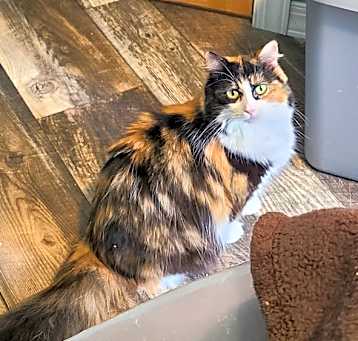 Photo of Mabel