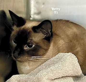 Photo of Verity