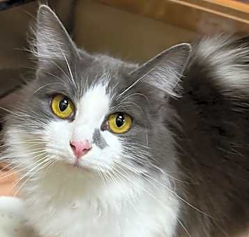 Photo of Sibby