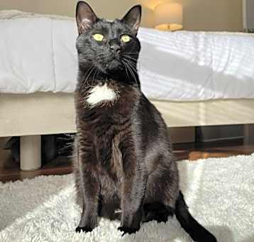 Photo of Lucy