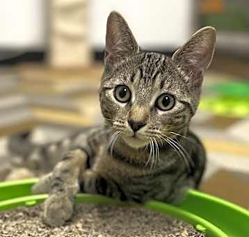 Photo of Eros