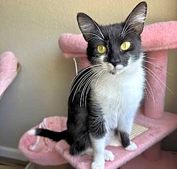 Photo of Tippy