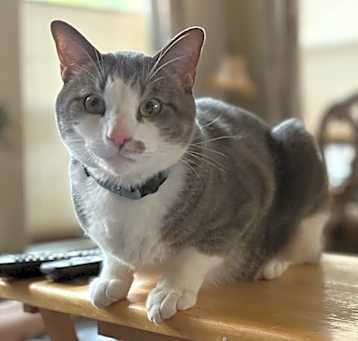 Photo of Lil Bit