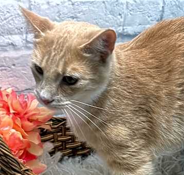 Photo of Lucky Day