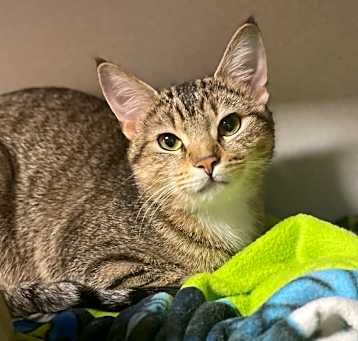 Photo of Ivy