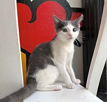 Photo of Jaqueline