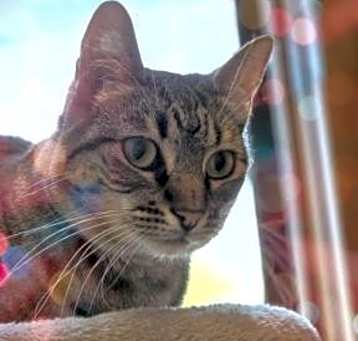 Photo of Bean Zee