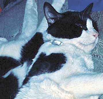 Photo of Sly