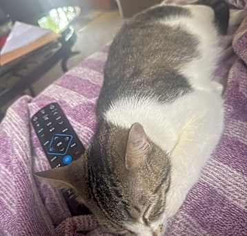 Photo of Baby Boots