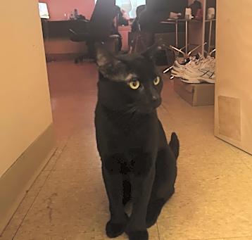 Photo of Riley