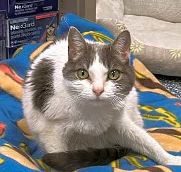 Photo of GERTIE