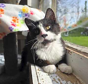 Photo of Silas