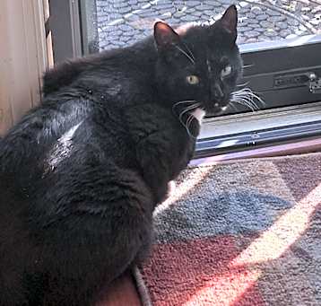 Photo of Jacques