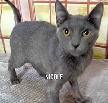 Photo of Nicole
