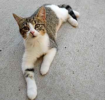 Photo of Lily