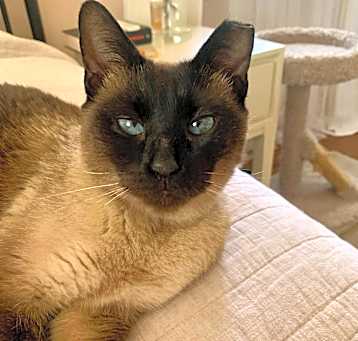 Photo of Esmeralda