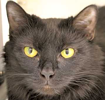 Photo of Holly 