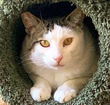 Photo of CHARLIE