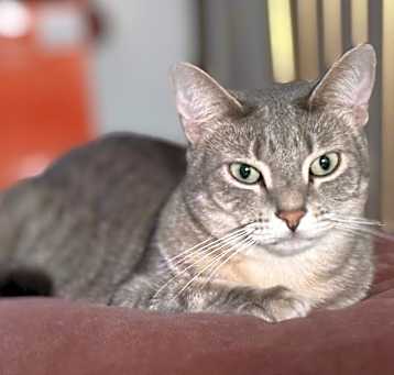 Photo of Maxwell