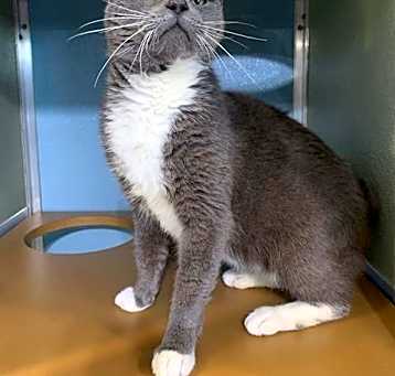 Photo of DUSTY