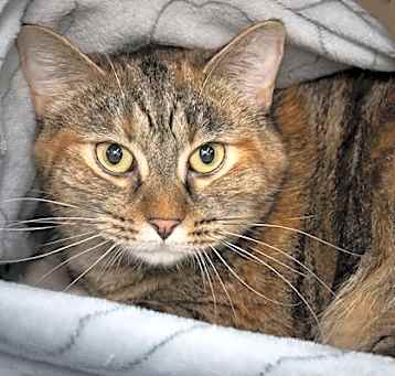 Photo of Junebug
