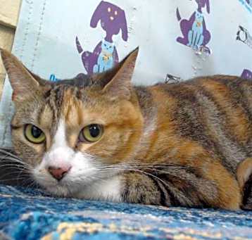 Photo of MIMI