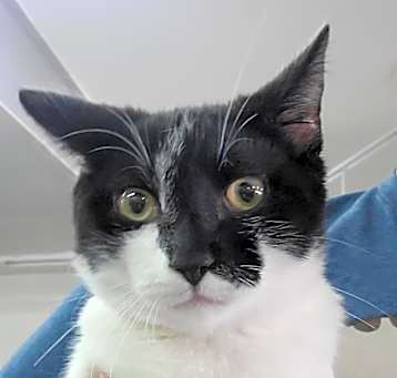 Photo of Monty