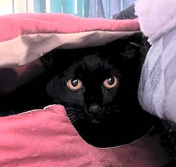 Photo of Tiny