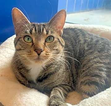 Photo of DELILAH