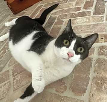 Photo of Esther