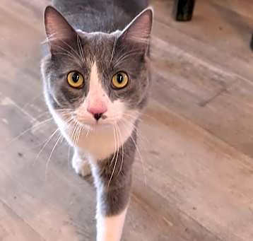 Photo of Boots