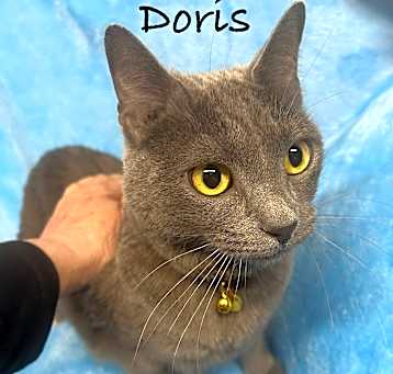 Photo of Doris