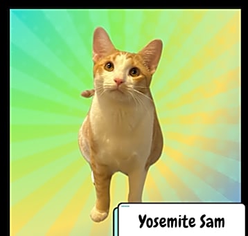 Photo of Yosemite Sam