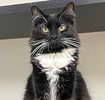 Photo of Bell