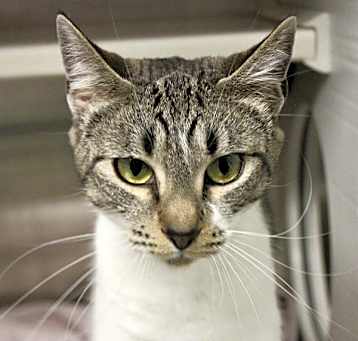 Photo of Cleo