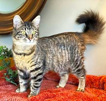 Photo of Marabeth
