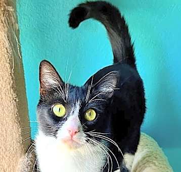 Photo of CHLOE